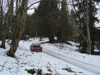  another weekend - back in the woods - and still a bit snowy